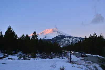 DSC_5971 (Large).JPG